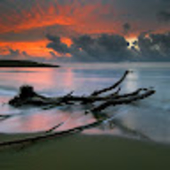 Meet your Posher, Lourdes - Picture 1 of 1